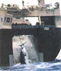 
Whales are harpooned and then sold as choice cuts of meat.
